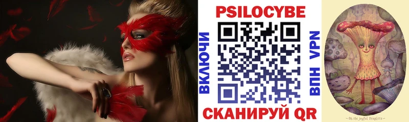 магазин продажи наркотиков  Хотьково  mega рабочий сайт  Псилоцибиновые грибы мухоморы 